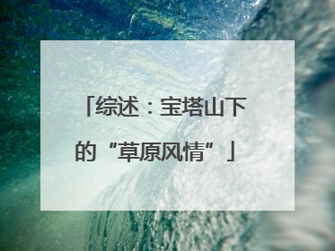 综述：宝塔山下的“草原风情”