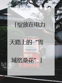 绽放在电力天路上的“雪域格桑花”