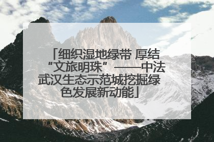 细织湿地绿带 厚结“文旅明珠”——中法武汉生态示范城挖掘绿色发展新动能