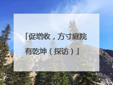 促增收，方寸庭院有乾坤（探访）