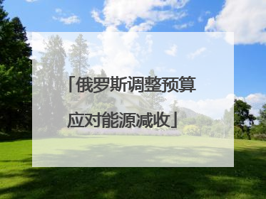 俄罗斯调整预算应对能源减收