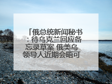 俄总统新闻秘书：待乌克兰回应备忘录草案 俄美乌领导人近期会晤可能性小