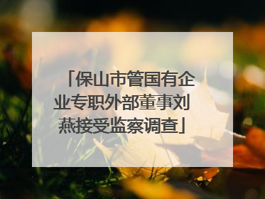 保山市管国有企业专职外部董事刘燕接受监察调查