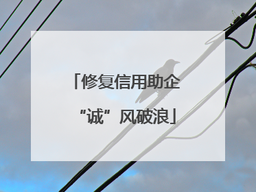 修复信用助企“诚”风破浪