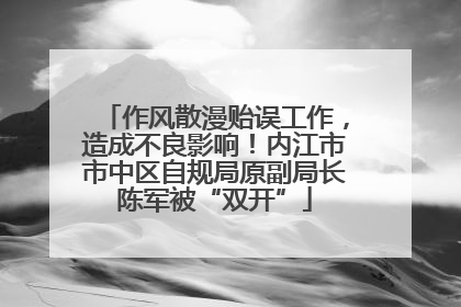作风散漫贻误工作，造成不良影响！内江市市中区自规局原副局长陈军被“双开”