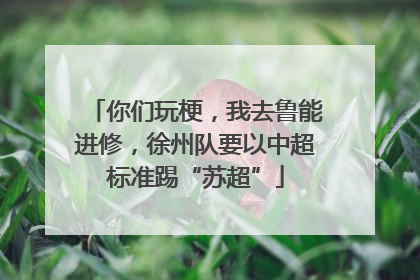 你们玩梗，我去鲁能进修，徐州队要以中超标准踢“苏超”
