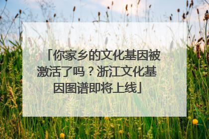 你家乡的文化基因被激活了吗？浙江文化基因图谱即将上线