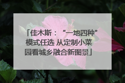 佳木斯：“一地四种” 模式任选 从定制小菜园看城乡融合新图景