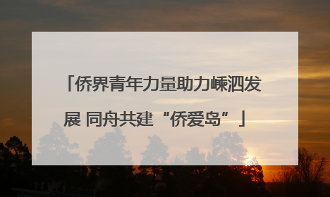 侨界青年力量助力嵊泗发展 同舟共建“侨爱岛”
