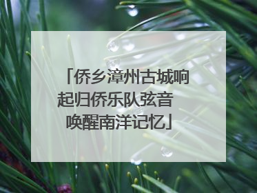 侨乡漳州古城响起归侨乐队弦音 唤醒南洋记忆