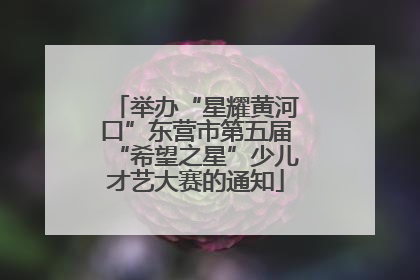 举办“星耀黄河口”东营市第五届“希望之星”少儿才艺大赛的通知