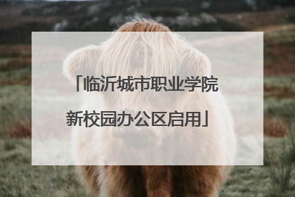 临沂城市职业学院新校园办公区启用