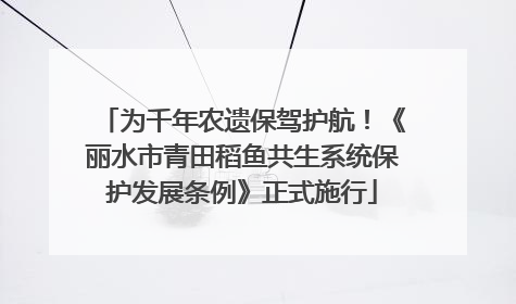 为千年农遗保驾护航！《丽水市青田稻鱼共生系统保护发展条例》正式施行