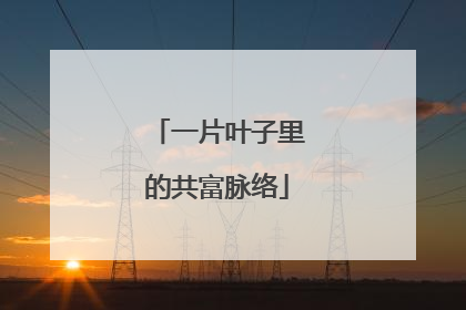一片叶子里的共富脉络