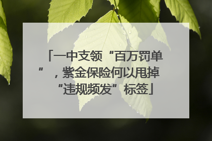 一中支领“百万罚单”，紫金保险何以甩掉“违规频发”标签