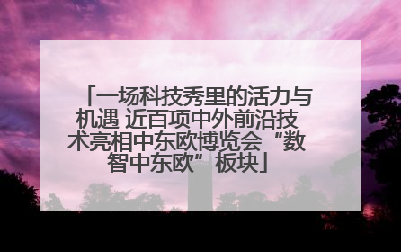 一场科技秀里的活力与机遇 近百项中外前沿技术亮相中东欧博览会“数智中东欧”板块