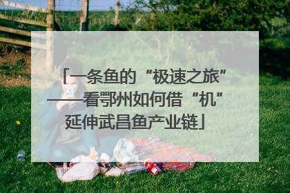 一条鱼的“极速之旅”——看鄂州如何借“机”延伸武昌鱼产业链