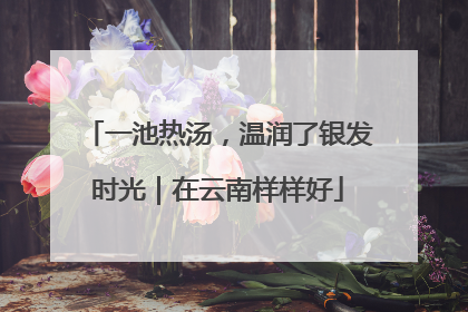 一池热汤，温润了银发时光｜在云南样样好