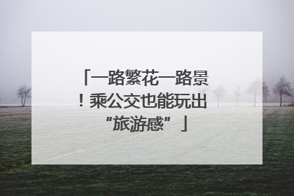 一路繁花一路景！乘公交也能玩出“旅游感”