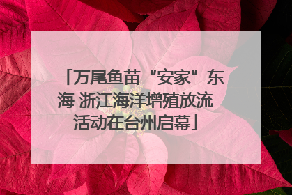 万尾鱼苗“安家”东海 浙江海洋增殖放流活动在台州启幕