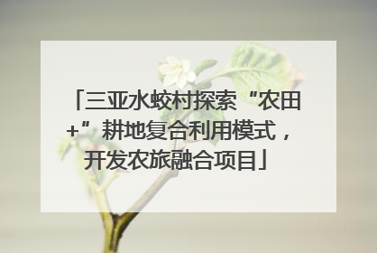 三亚水蛟村探索“农田+”耕地复合利用模式，开发农旅融合项目