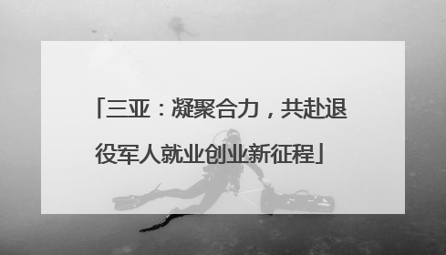 三亚：凝聚合力，共赴退役军人就业创业新征程