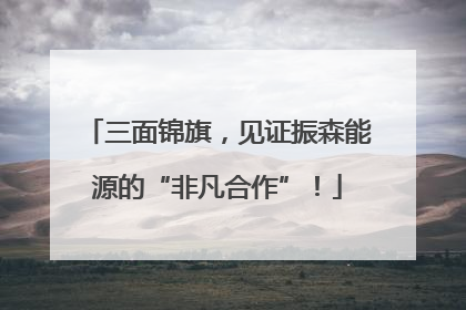 三面锦旗，见证振森能源的“非凡合作”！