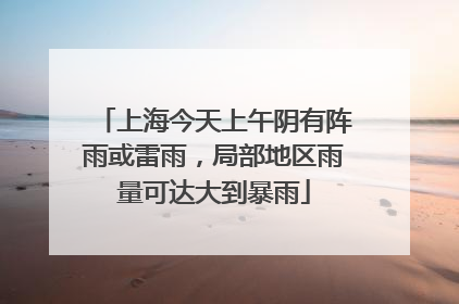 上海今天上午阴有阵雨或雷雨，局部地区雨量可达大到暴雨