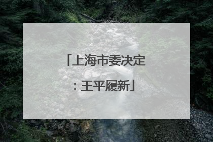 上海市委决定：王平履新