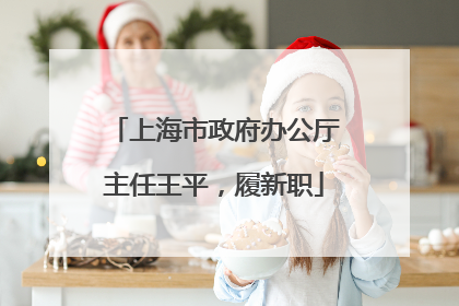 上海市政府办公厅主任王平，履新职