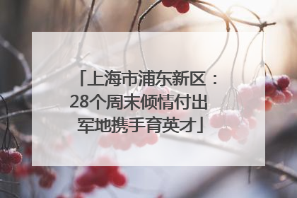 上海市浦东新区：28个周末倾情付出 军地携手育英才