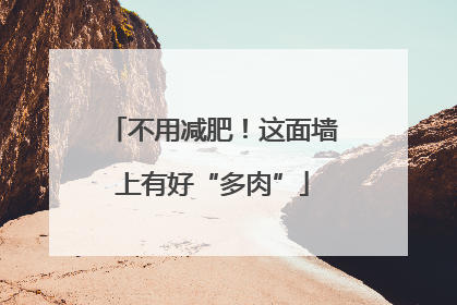 不用减肥！这面墙上有好“多肉”