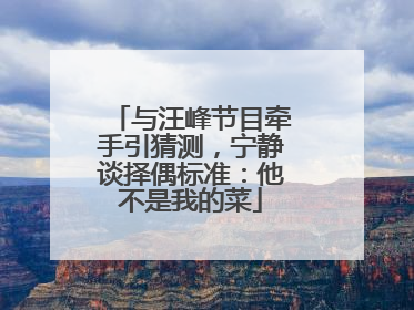 与汪峰节目牵手引猜测，宁静谈择偶标准：他不是我的菜
