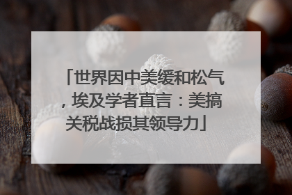 世界因中美缓和松气，埃及学者直言：美搞关税战损其领导力