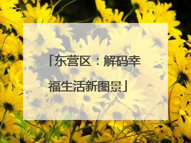 东营区：解码幸福生活新图景