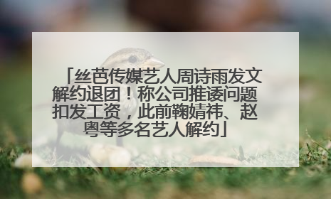 丝芭传媒艺人周诗雨发文解约退团！称公司推诿问题扣发工资，此前鞠婧祎、赵粤等多名艺人解约
