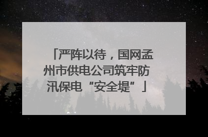 严阵以待，国网孟州市供电公司筑牢防汛保电“安全堤”