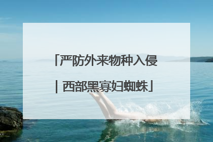 严防外来物种入侵｜西部黑寡妇蜘蛛