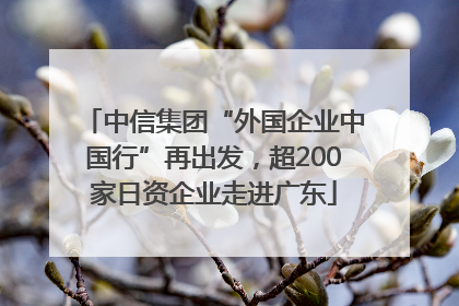 中信集团“外国企业中国行”再出发，超200家日资企业走进广东