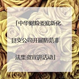 中华财险娄底新化县支公司开展防范非法集资宣讲活动