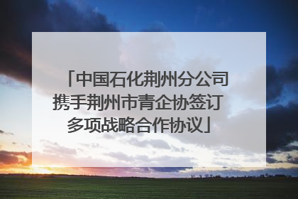 中国石化荆州分公司携手荆州市青企协签订多项战略合作协议