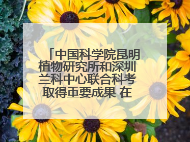 中国科学院昆明植物研究所和深圳兰科中心联合科考取得重要成果 在神农架发现两种“国保”级兰花