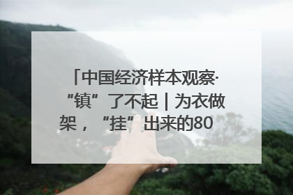 中国经济样本观察·“镇”了不起｜为衣做架，“挂”出来的80亿元“衣架产业”