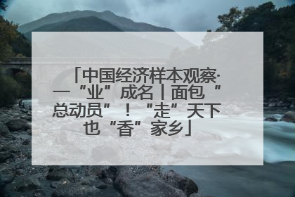 中国经济样本观察·一“业”成名丨面包“总动员”！“走”天下也“香”家乡