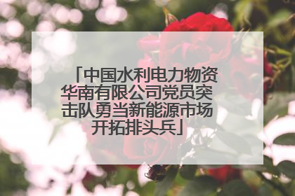 中国水利电力物资华南有限公司党员突击队勇当新能源市场开拓排头兵