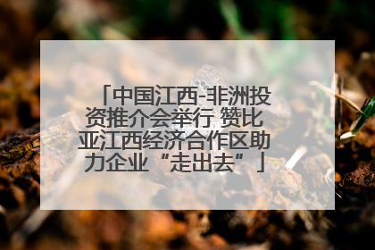 中国江西-非洲投资推介会举行 赞比亚江西经济合作区助力企业“走出去”