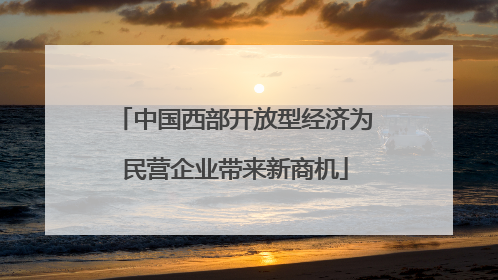 中国西部开放型经济为民营企业带来新商机