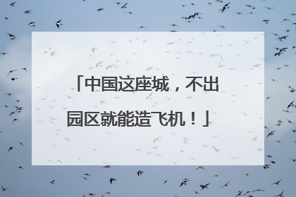 中国这座城，不出园区就能造飞机！