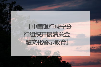 中国银行咸宁分行组织开展清廉金融文化警示教育