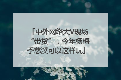 中外网络大V现场“带货”，今年杨梅季慈溪可以这样玩